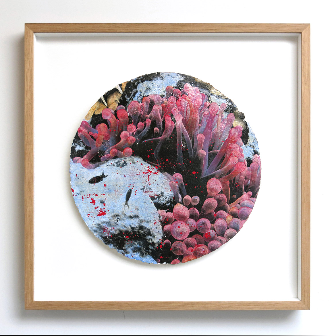 Núria Forteza - Surge. Seabed Series II - Anemones T#03